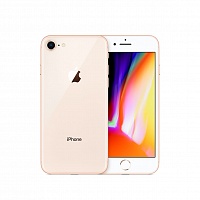 Apple iPhone - 8 256GB Gold