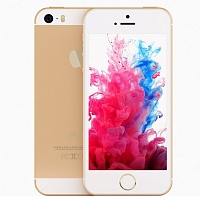 Apple iPhone - 5S  16GB Gold